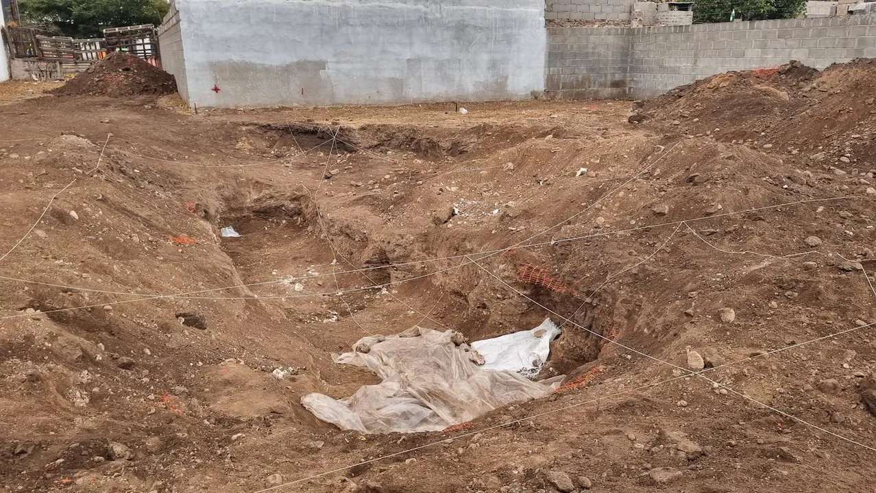 5DD72309-EBBF-4E44-906C-678B67736067